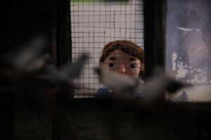 Feed 050 01 X1 0070.jpg