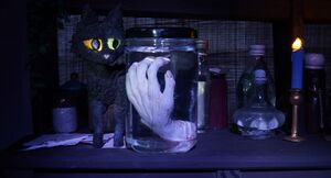 2026 The Collection.jpg