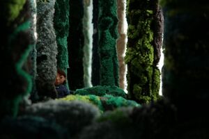 Feed 331 04 X1 0003.jpg