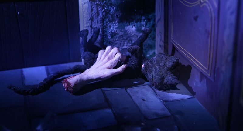 File:2026 The Collection 3.jpg