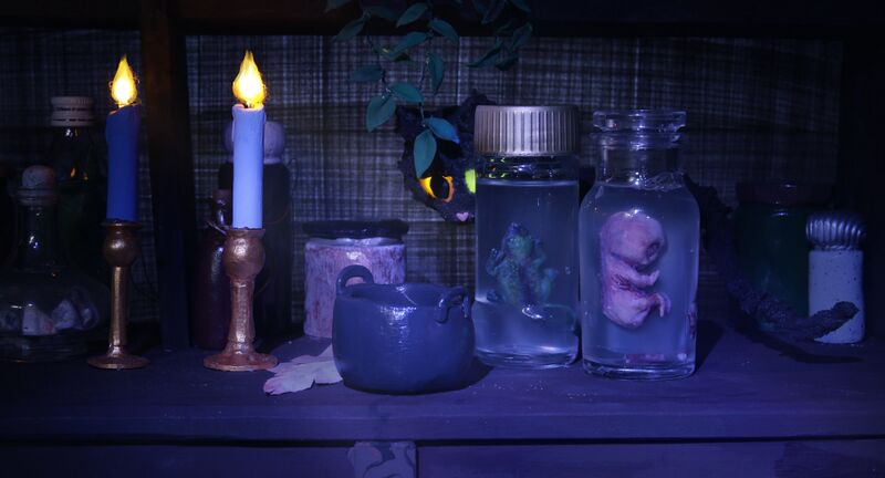 File:2026 The Collection 1.jpg